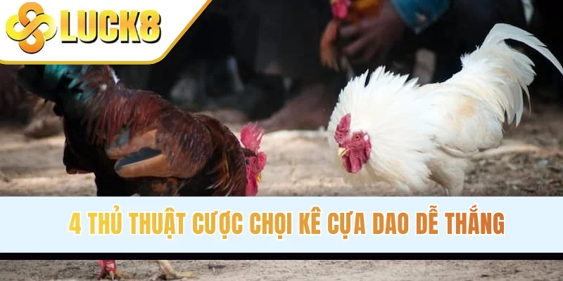 4 thủ thuật cược chọi kê cựa dao dễ thắng
