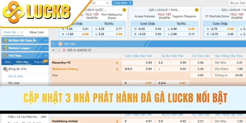 Điểm qua các dạng cược góc bóng đá LUCK8