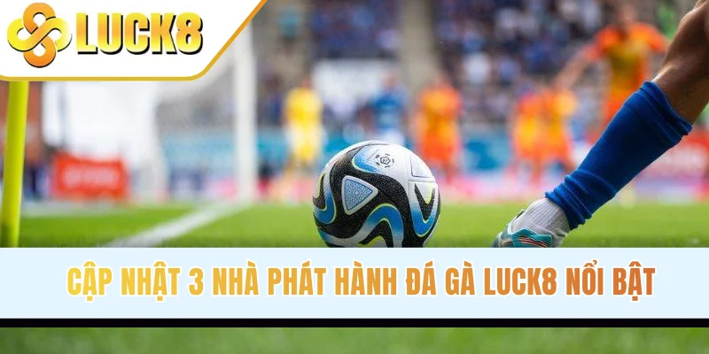 Giới thiệu về mẹo soi kèo phạt góc bóng đá