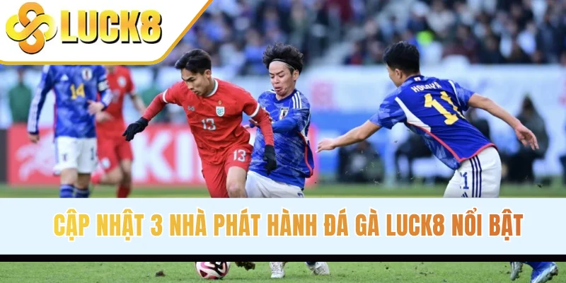 Mẹo Soi Kèo Phạt Góc Bóng Đá Bất Bại Cho Mọi Thành Viên